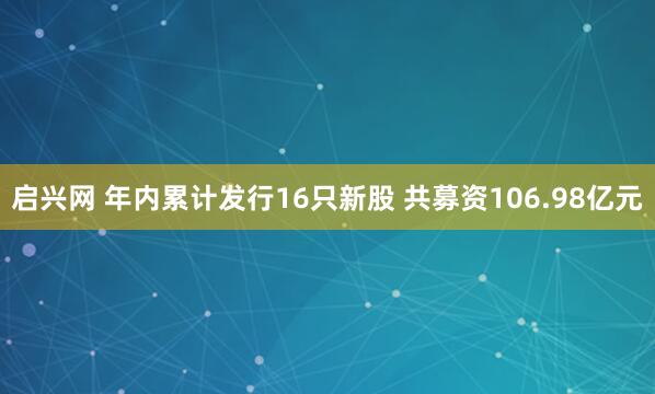 启兴网 年内累计发行16只新股 共募资106.98亿元