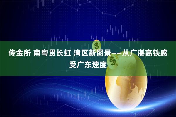 传金所 南粤贯长虹 湾区新图景——从广湛高铁感受广东速度