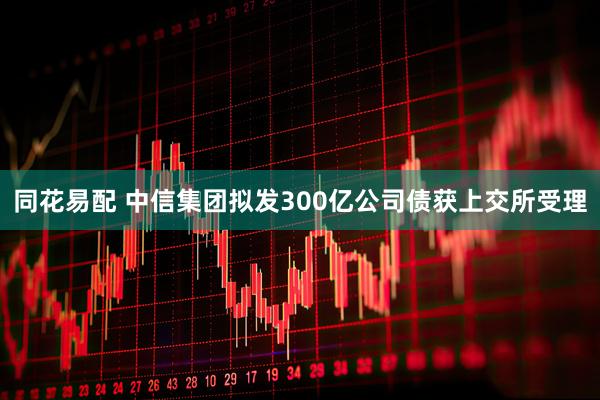 同花易配 中信集团拟发300亿公司债获上交所受理
